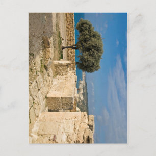 Postal Yacimiento arqueológico de Kourion, Chipre