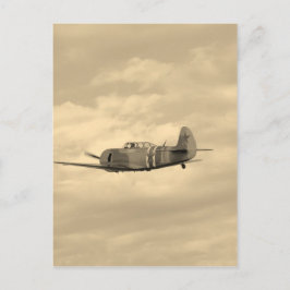 Postal Yak 11 En Vuelo