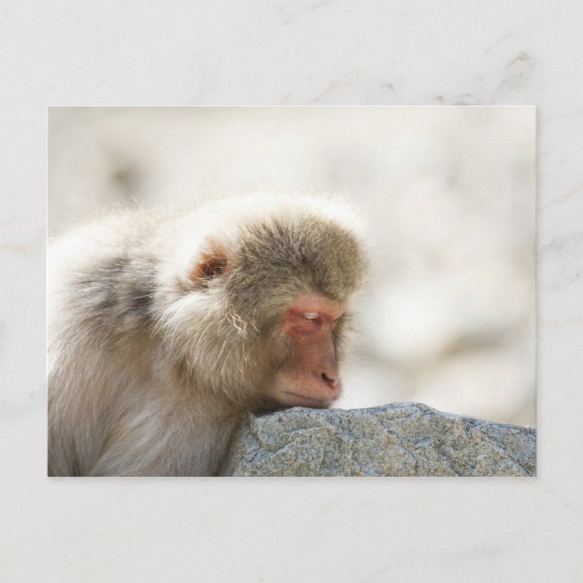 Postal Yamanouchi, Chubu, Prefectura de Nagano, Japón (Anverso)