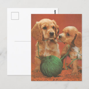 Postal Yarn y afecto, Cocker Spaniels en juego