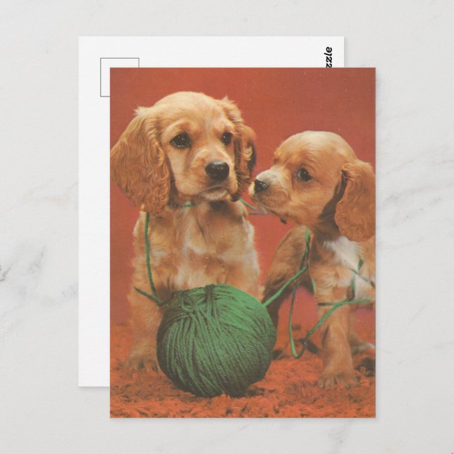 Postal Yarn y afecto, Cocker Spaniels en juego (Anverso / Reverso)