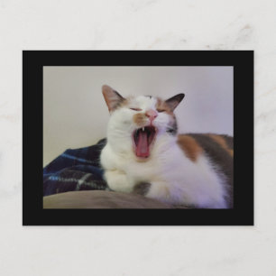 Postal Yawning Calico Cat