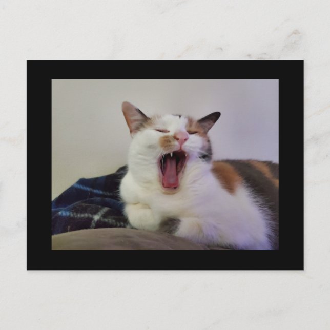 Postal Yawning Calico Cat (Anverso)
