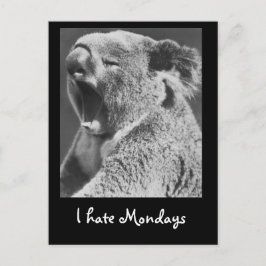 Postal Yawning Koala