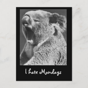 Postal Yawning Koala