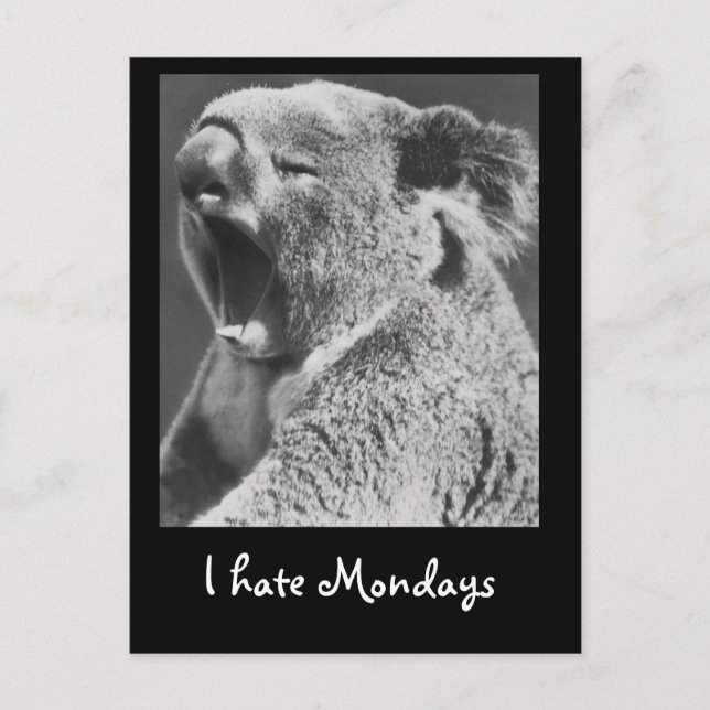 Postal Yawning Koala (Anverso)