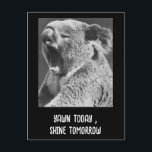 Postal Yawning Koala-frase graciosa<br><div class="desc">Primer plano de un oso Yawning Koala - una foto encantadora y humorística en blanco y negro que captura el espíritu de la relajación pura. Cortesía del Museo Nacional de Medios, esta adorable imagen ha sido editada creativamente y transformada por Alma Wad en una obra de arte lúdica. También puedes...</div>