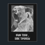 Postal Yawning Koala-frase graciosa<br><div class="desc">Primer plano de un oso Yawning Koala - una foto encantadora y humorística en blanco y negro que captura el espíritu de la relajación pura. Cortesía del Museo Nacional de Medios, esta adorable imagen ha sido editada creativamente y transformada por Alma Wad en una obra de arte lúdica. También puedes...</div>