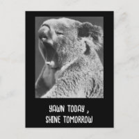 Yawning Koala-frase graciosa
