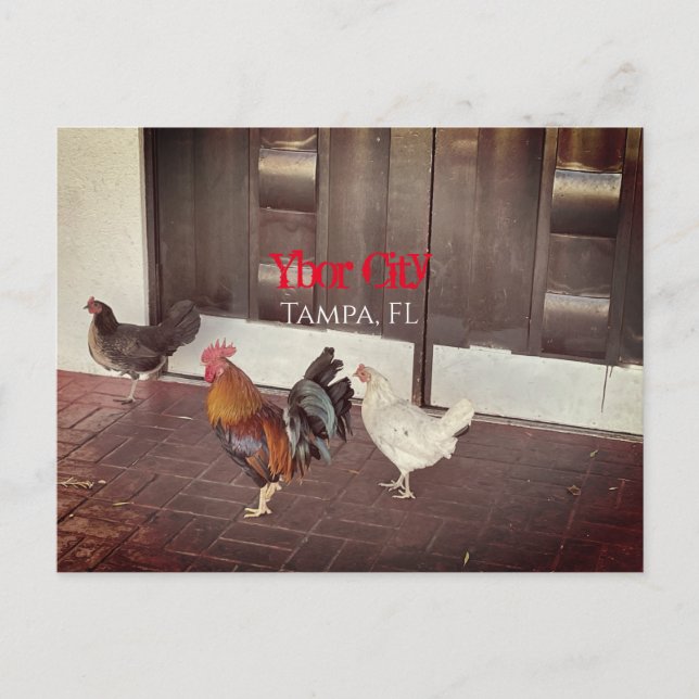 Postal Ybor City, Tampa FLORIDA (Anverso)