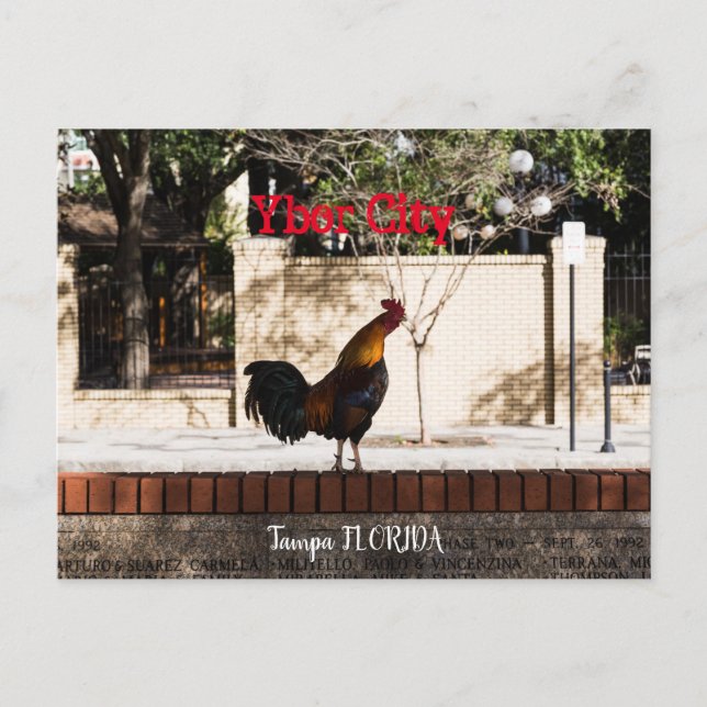 Postal Ybor City, Tampa FLORIDA (Anverso)