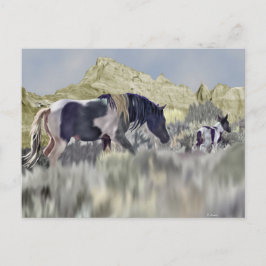 Postal Yegua y potro de Mustang salvaje