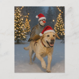 Postal Yellow Labrador and Partridge Christmas postcard