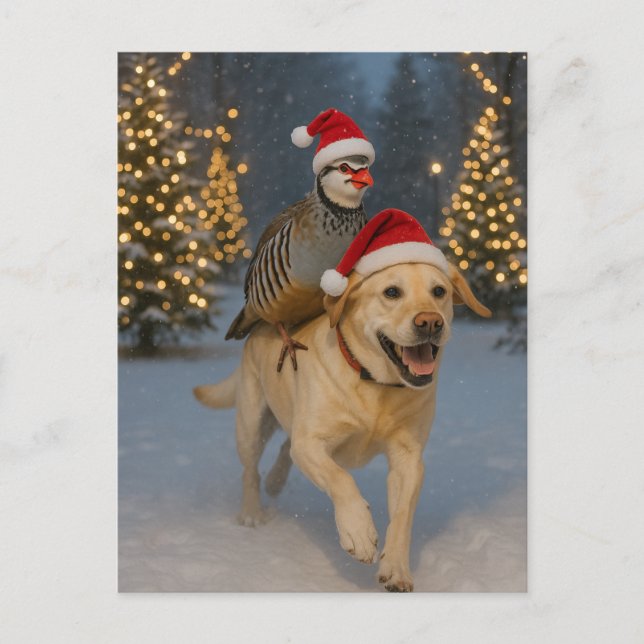 Postal Yellow Labrador and Partridge Christmas postcard (Anverso)