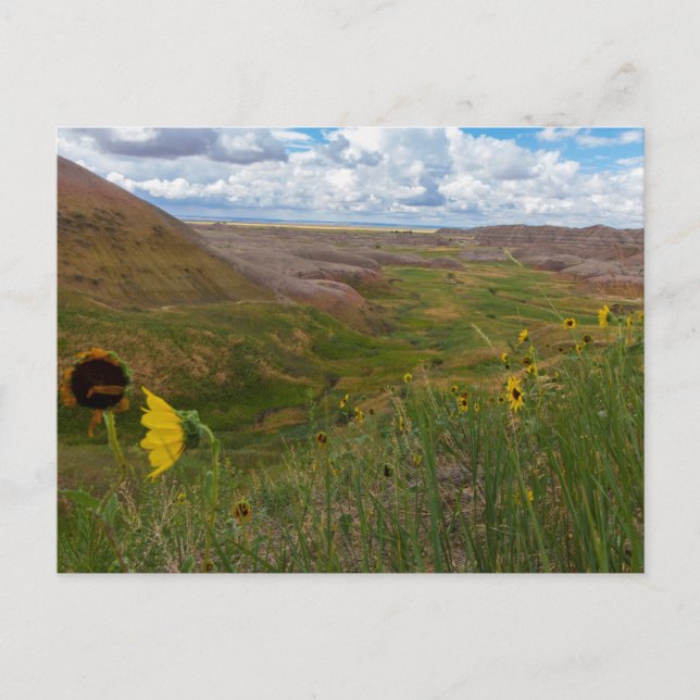 Postal Yellow Mounds Overlook, Badlands NP, Dakota del Su (Anverso)