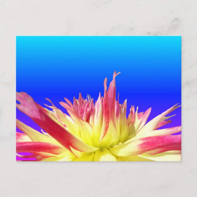 Postal Yellow Pink Dahlia Blue BG Color DIY (Anverso)