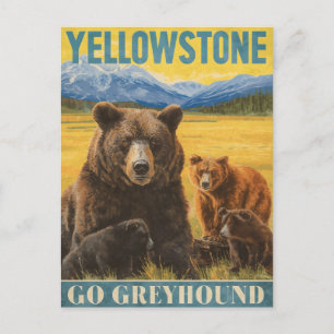 Postal Yellowstone Bears Vintage Travel