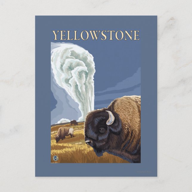 Postal Yellowstone Bison con la vieja fe (Anverso)