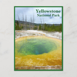Postal Yellowstone: Grupo de Gloria de la Mañana con text