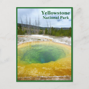Postal Yellowstone: Grupo de Gloria de la Mañana con text