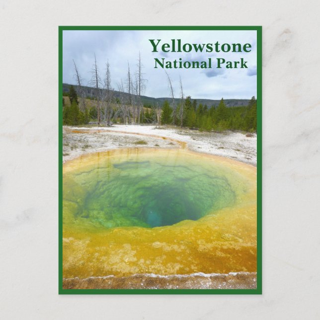 Postal Yellowstone: Grupo de Gloria de la Mañana con text (Anverso)