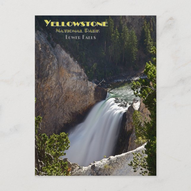 Postal Yellowstone - Lower Falls Brink (Anverso)