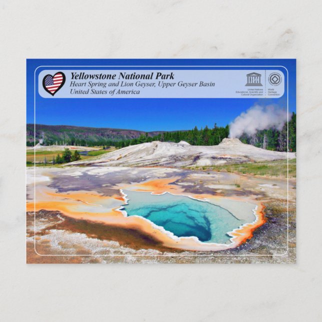 Postal Yellowstone NP - Primavera del corazón y Géiser de (Anverso)