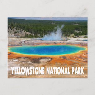 Postal Yellowstone Prismatic Spring Wyoming, EE.UU.