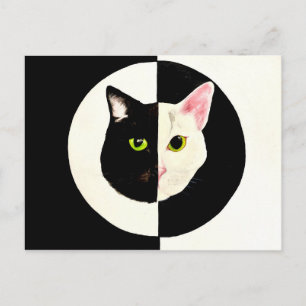 Postal Yin y yang gatos negros y blancos pintando