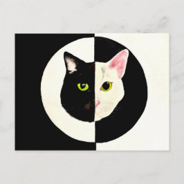 Postal Yin y yang gatos negros y blancos pintando