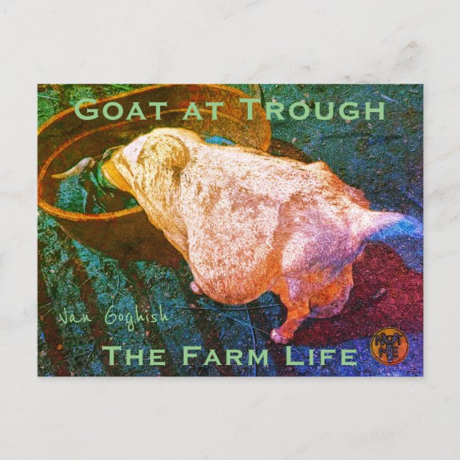 Postal YNOTME VAN GOGHISH GOAT AT TROUGH2a (Anverso)