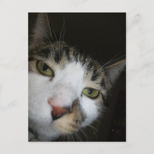 Postal ¡Yo! (Anverso)