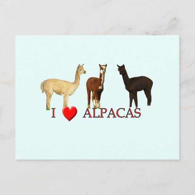 Postal Yo "corazón" alpacas (Anverso)