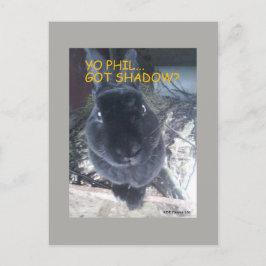 Postal Yo Phil, Tengo Sombra - Postcard