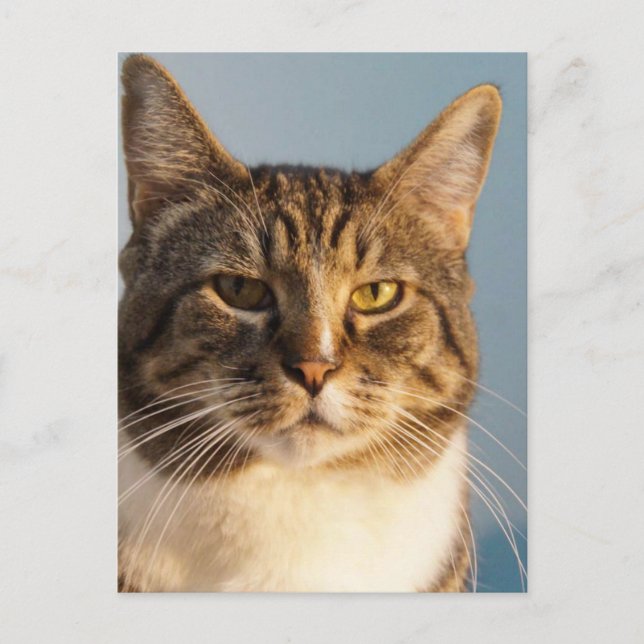 Postal Yoda (Anverso)