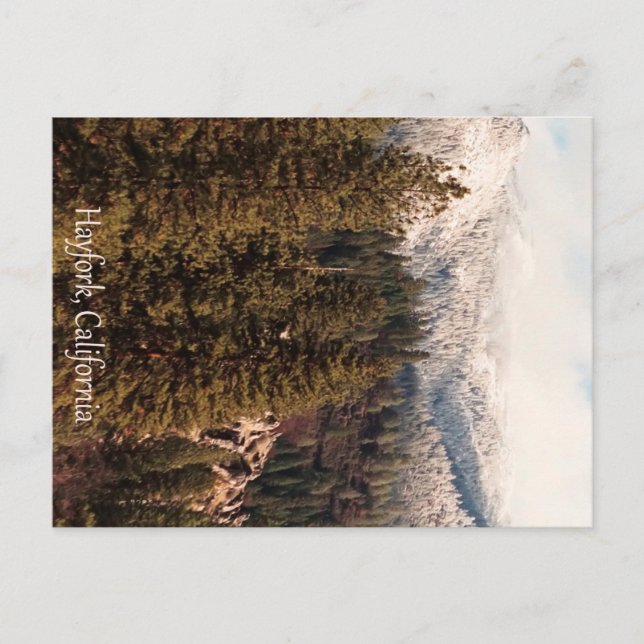 Postal Yolla Bollies con nieve fresca... (Anverso)