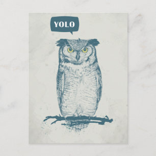POSTAL YOLO