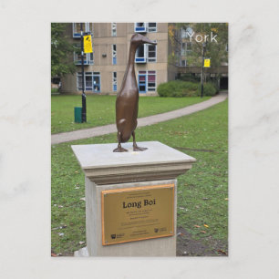 Postal York Long Boi
