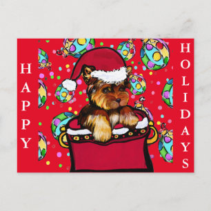 POSTAL YORKIE