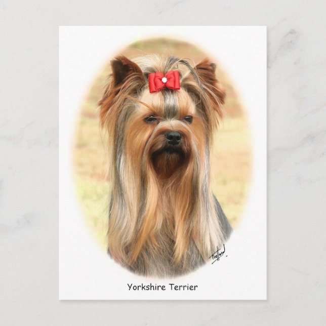 Postal Yorkie (Anverso)