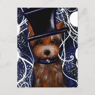 POSTAL YORKIE
