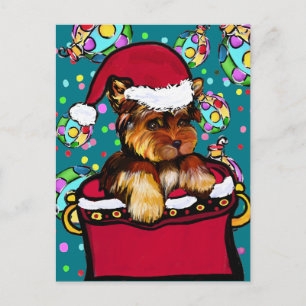 Postal Yorkie