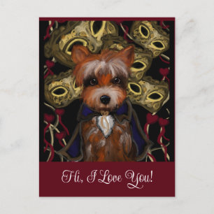 Postal Yorkie