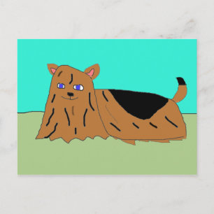 Postal Yorkie