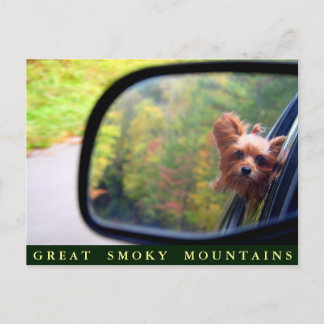 Postal Yorkie Dog - Autumn Ride - Great Smoky Mountains