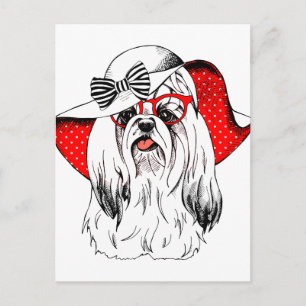 Postal Yorkie Fashion Shoot