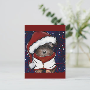 Postal Yorkie Poo