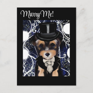 Postal Yorkie Poo