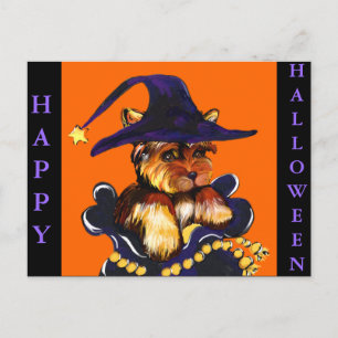 POSTAL YORKIE POO