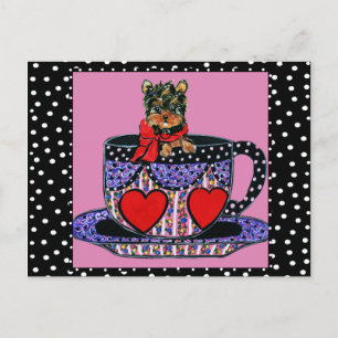 Postal Yorkie Poo